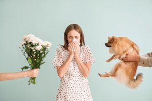 People giving flowers and dog