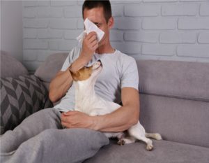 Man having pet allergy symptoms